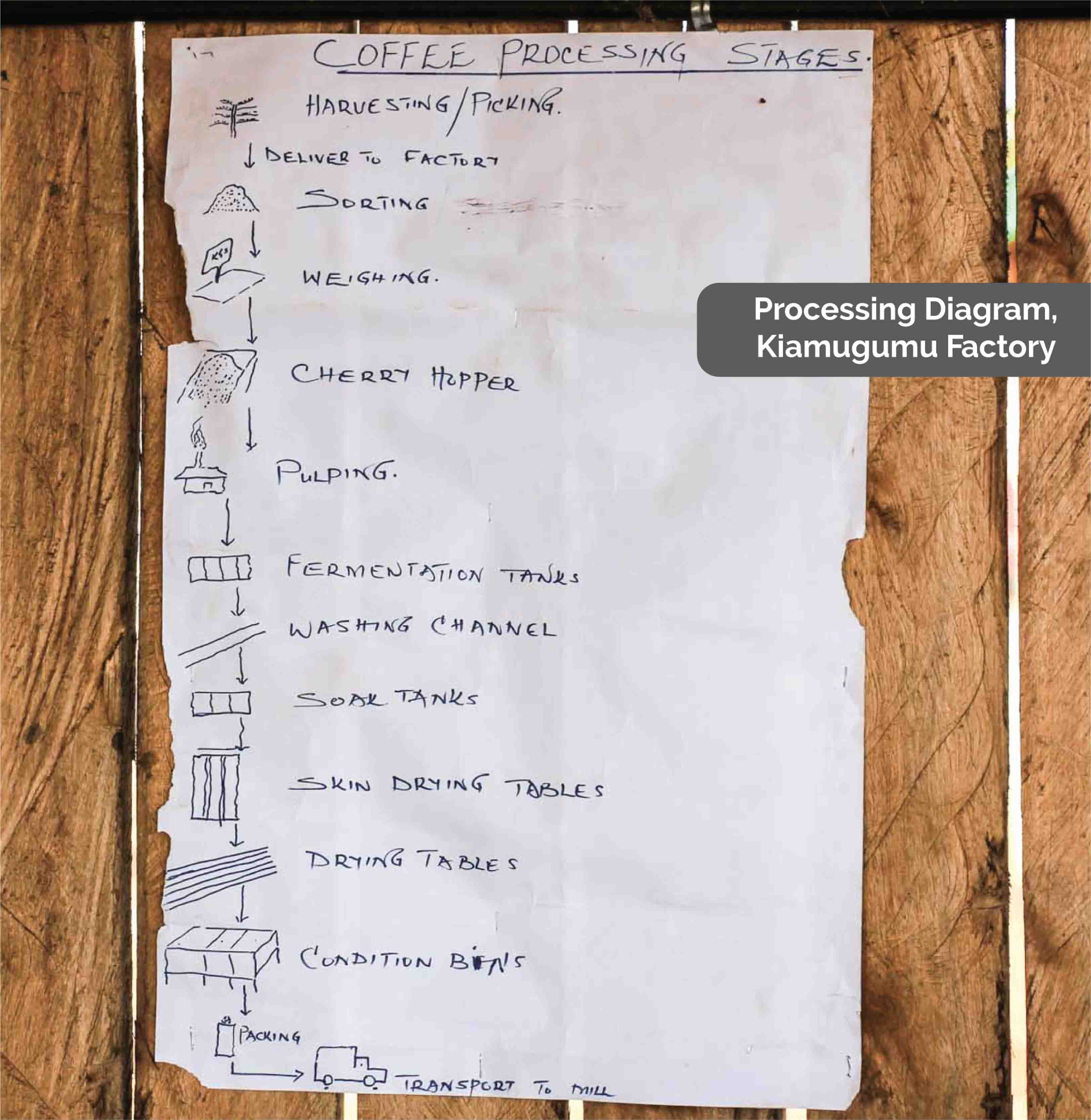 BLOG_Processing_Diagran-01-01