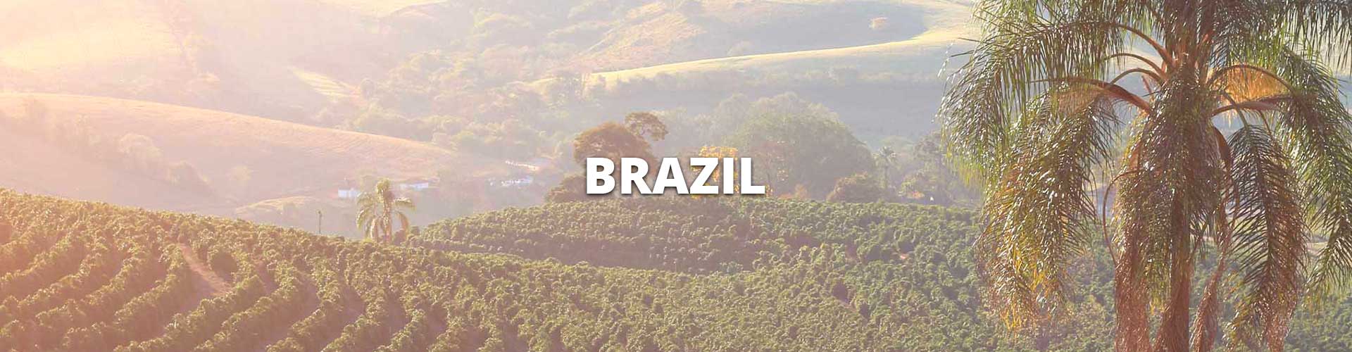 brazil-sm-header