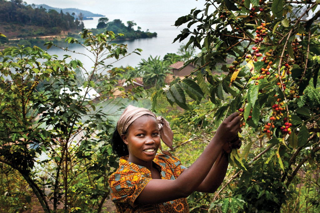 congo-cofffee-woman